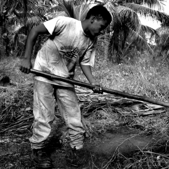 Como Cuba enfrenta trabalho infantil, martírio de mais de 150 milhões de crianças no mundo