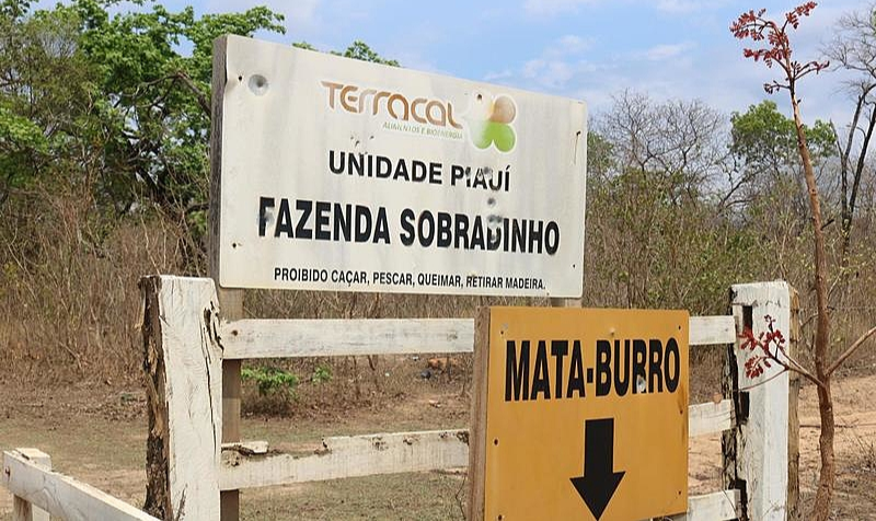 Relatório denuncia sistema que burla a lei brasileira e permite apropriação de terras por investidores estrangeiros