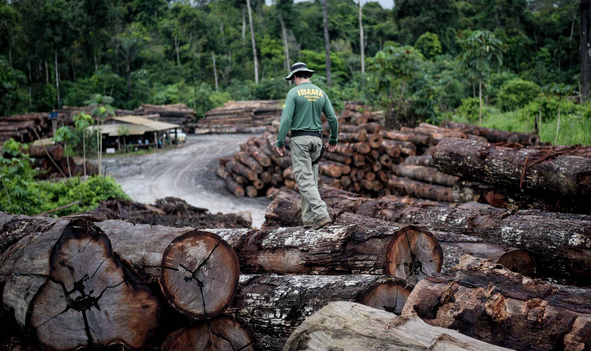 No Rio Grande do Sul, a seca já dizimou 30% da safra das vinícolas. Ao ampliar devastação da floresta, será necessário fazer uma escolha