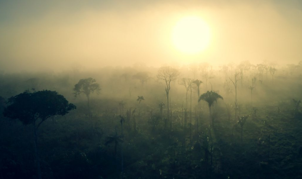 Lábrea, no sul do Amazonas, enfrenta redução de 60% nas fiscalizações do Ibama, o que explica a devastação da maior floresta tropical do mundo