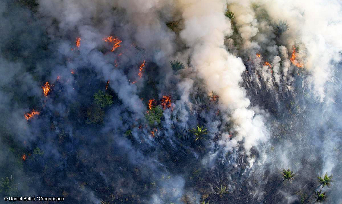 Segundo o INPE, mais de 2,2 mil focos de queimada foram identificados na região amazônica. Representando um aumento de 19,57% em relação à junho de 2019
