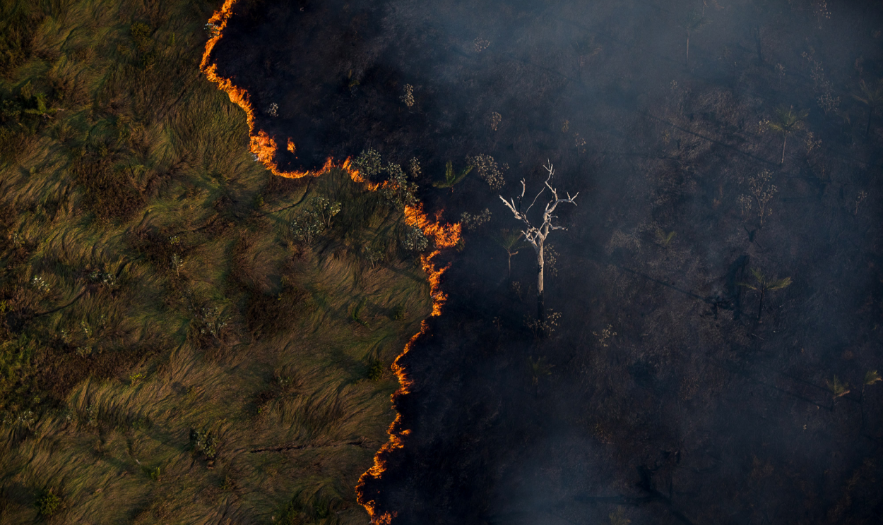 A queimada de áreas recém-derrubadas pode facilmente escapar para florestas vizinhas, transformando-se em incêndio florestal. Isso é especialmente verdadeiro em anos mais secos do que o normal.