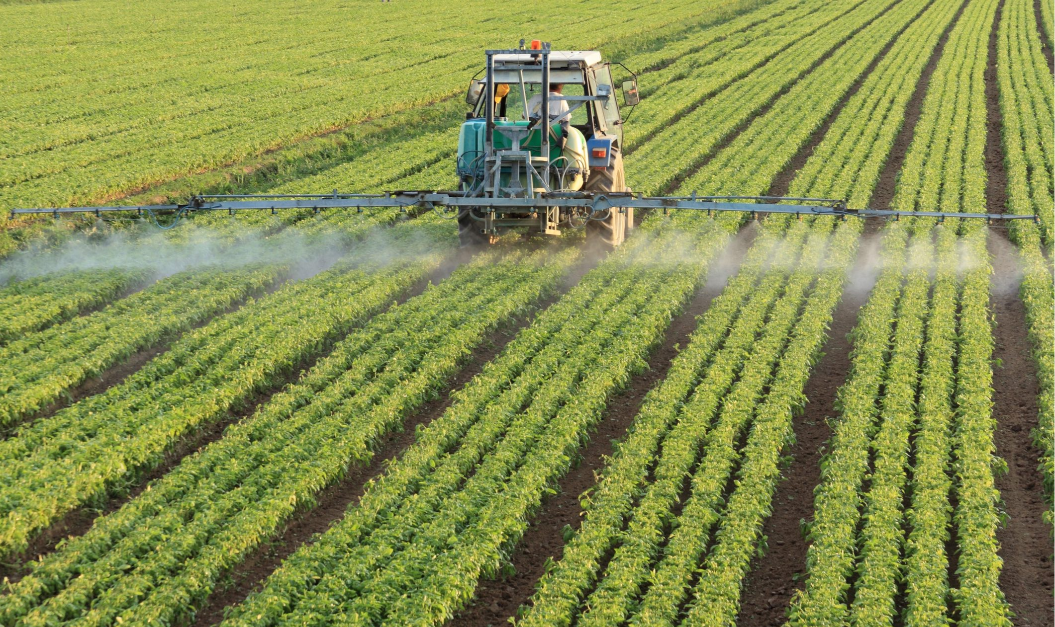O aumento progressivo no registro de pesticidas no Brasil vem acompanhado de impactos severos para a saúde pública