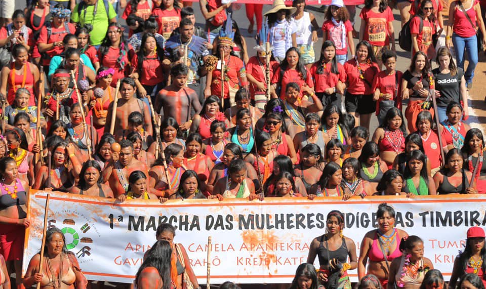 “Desde que Bolsonaro disse que não haveria mais nenhum centímetro de terra demarcada para os povos indígenas, nós saímos em marcha"