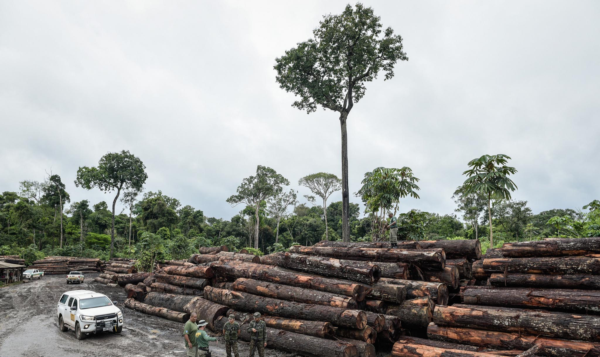 “Amazônia precisa de uma economia de conhecimento da natureza”, um estudo especial de Ricardo Abramovay.