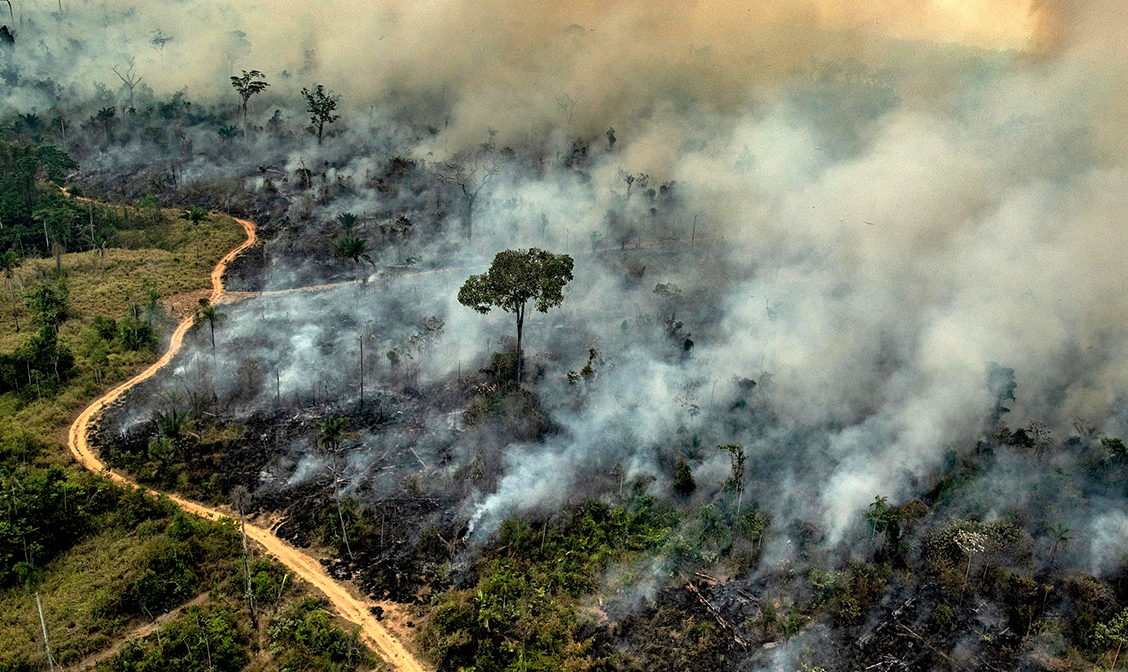 Apetite voraz pela ocupação da Amazônia compromete a imagem do governo e ameaça o agronegócio brasileiro, diz o ambientalista José Pedro de Oliveira Costa
