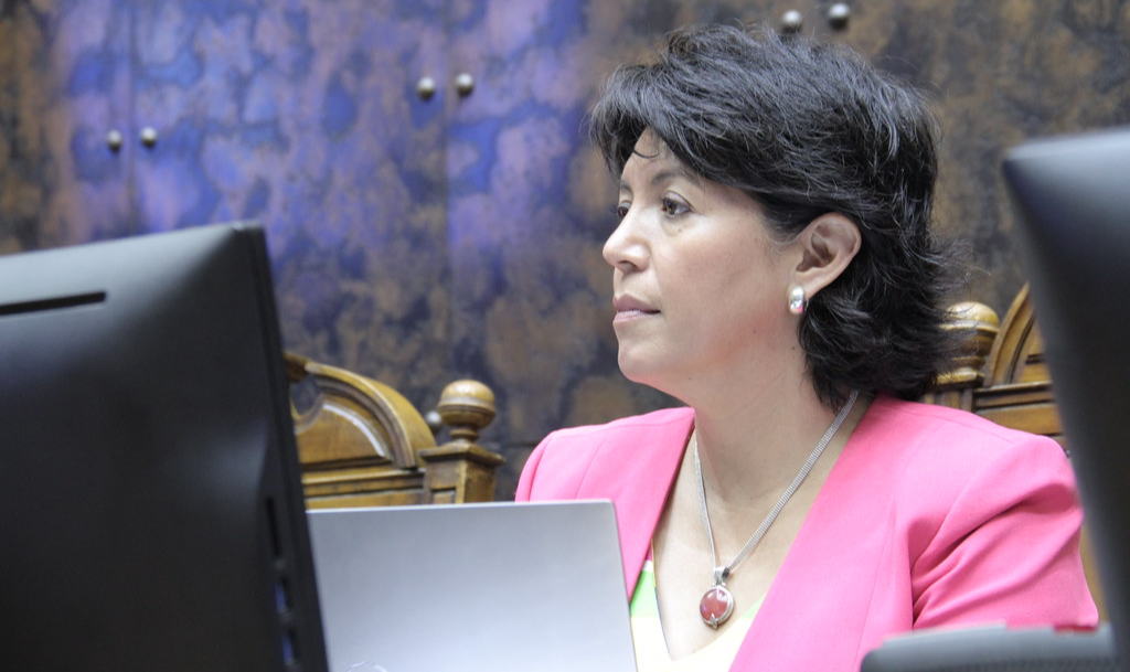Com mínima participação, a Unidade Constituinte elegeu a democrata cristã Yasna Provom como sua candidata para disputar as eleições de novembro