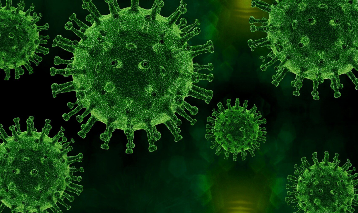 Cientistas sul-africanos detectaram mais de 30 mutações na proteína spike, a parte do vírus que ajuda a criar um ponto de entrada para o coronavírus infectar células humanas