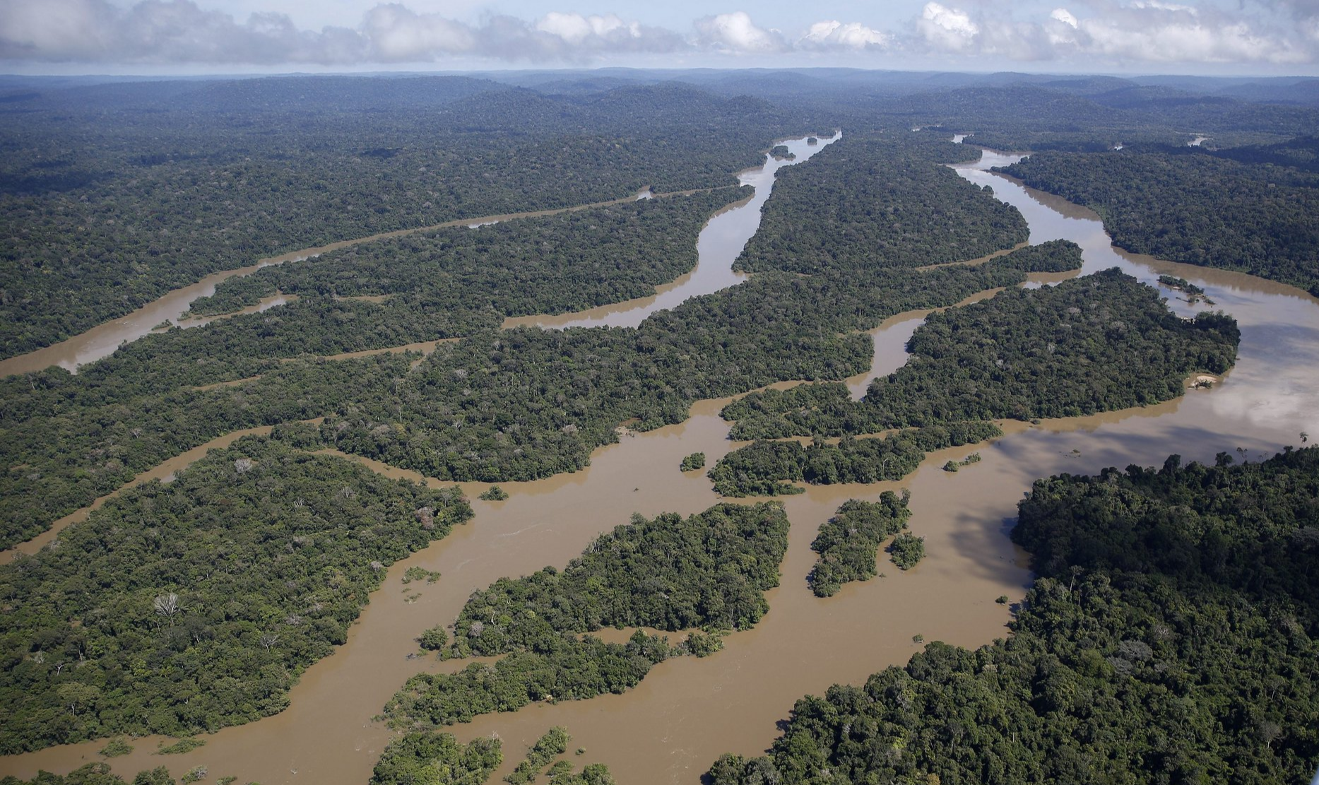 Governo de ocupação alardeia que "a Amazônia é nossa", mas na verdade trabalha para entregar nossa maior riqueza aos EUA e as transnacionais