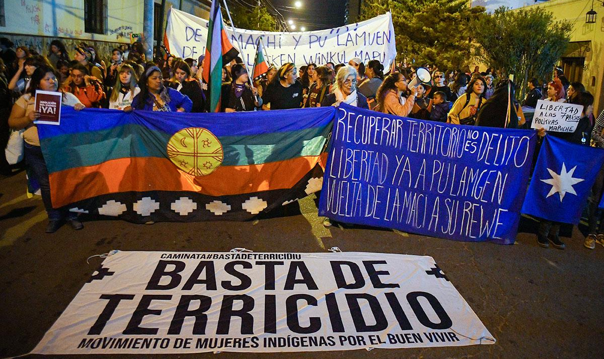 Boric "obedece aos interesses da oligarquia, ao poder dos grupos econômicos que confrontam diretamente a causa mapuche"