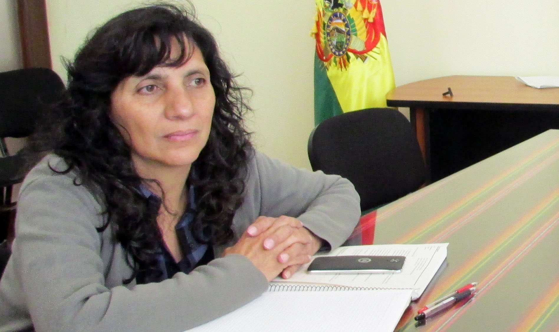 Ex-ministra do Desenvolvimento Produtivo e Economia Plural da Bolívia, Verónica denuncia a “cruel herança deixada pelos 25 anos de neoliberalismo”