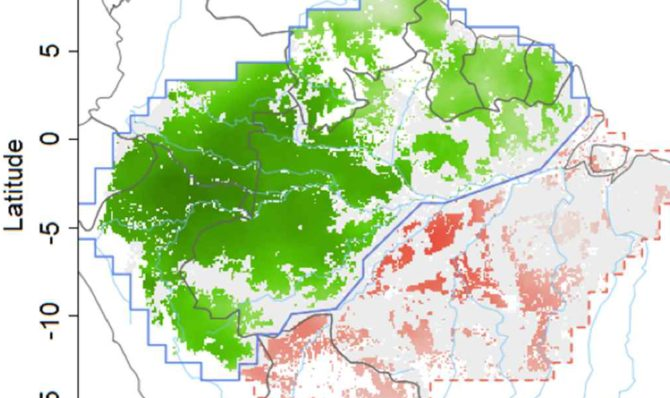 Novo estudo sugere que efeitos combinados reduziriam a riqueza de espécies em até 58% e criariam “duas Amazônias”, com porção fragmentada ao sul