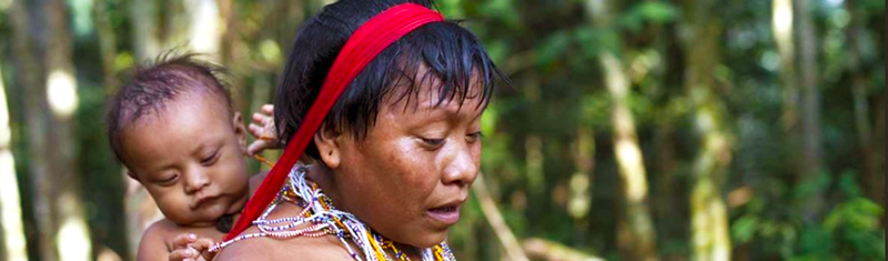 Estudo descreve como Yanomami estão usando estratégias ancestrais para enfrentar Covid
