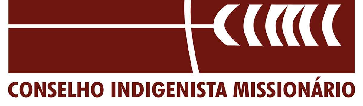 Ações de Bolsonaro e STF pioram insegurança jurídica e política dos povos indígenas