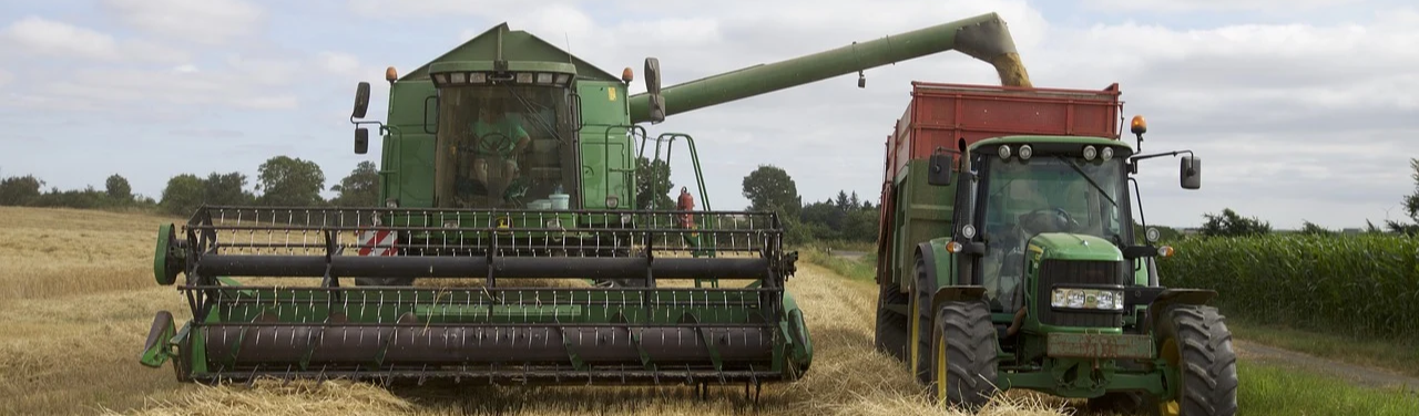 "É um desastre ambiental, não rende nada para o Brasil", diz Ladislau Dowbor sobre país priorizar agroexportação