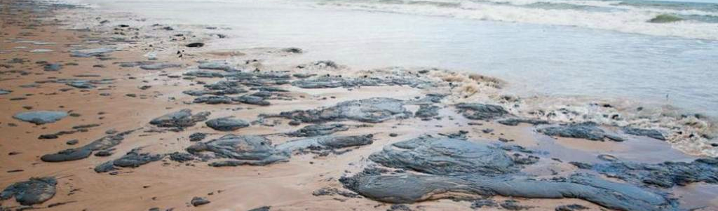 Ambientalistas pedem afastamento do ministro Ricardo Salles após óleo chegar à costa do RJ
