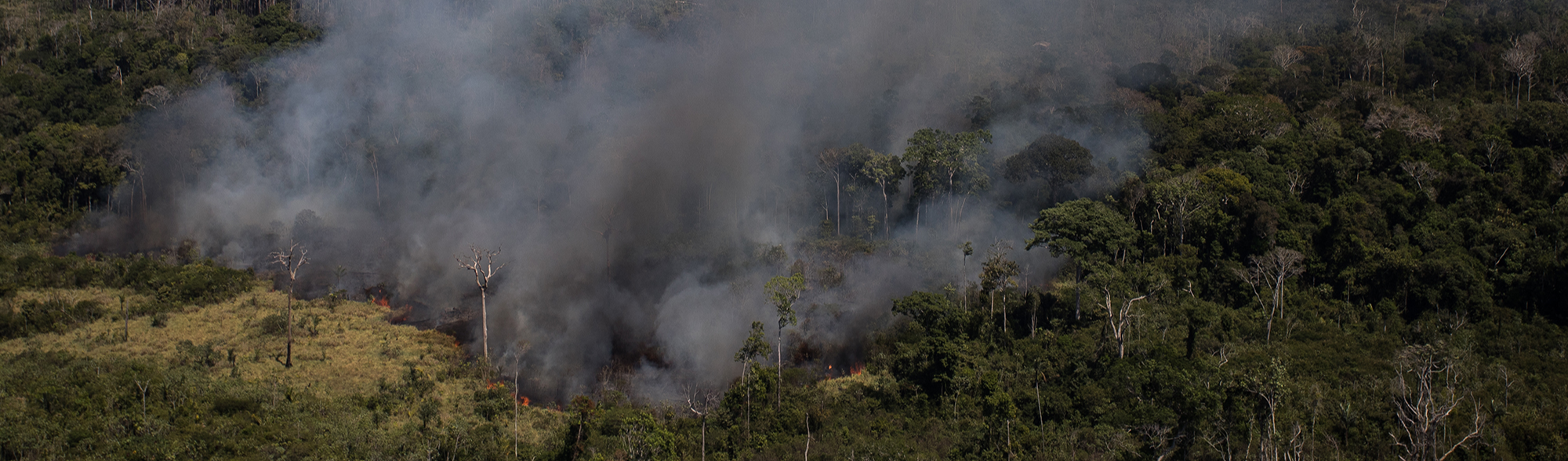 Amazônia em Chamas: “Tudo que vai queimar está pela frente”, diz pesquisador do INPE