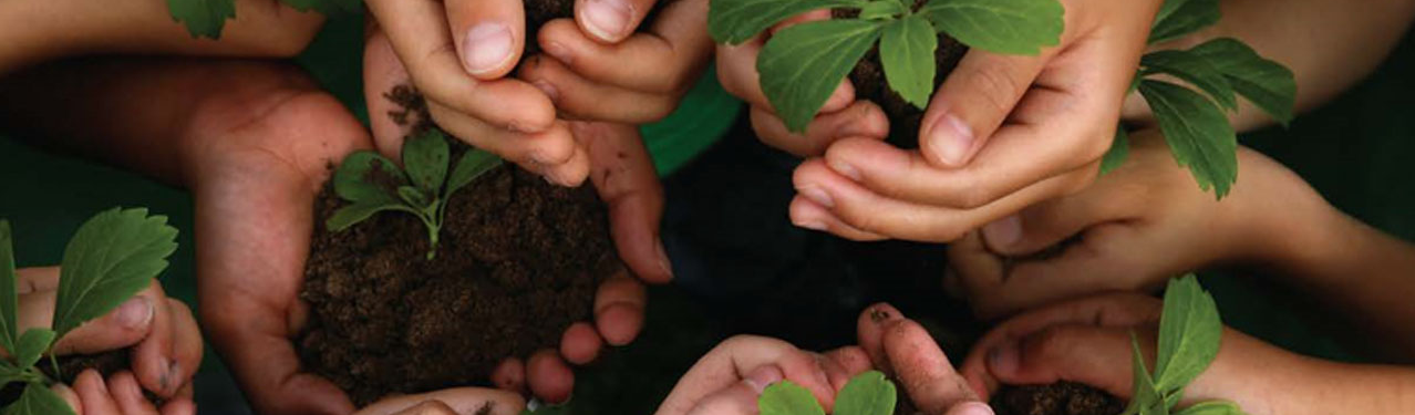 A construção de outro modelo de finanças depende de uma estratégia socioambiental