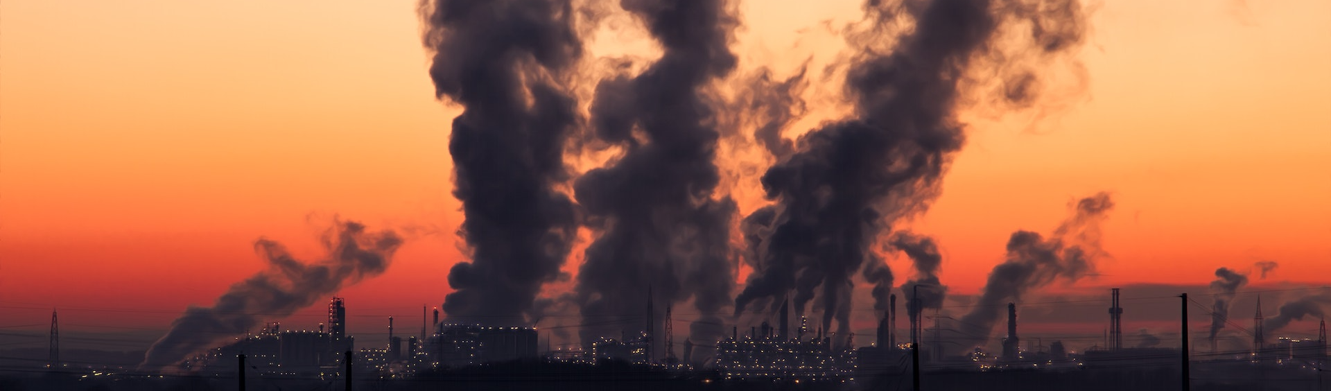 COP27 no Egito: encontro precisa debater ações reais e radicais contra crise climática