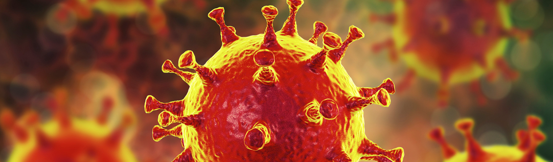 Sem fake news: especialistas explicam origem e escala que coronavírus pode atingir