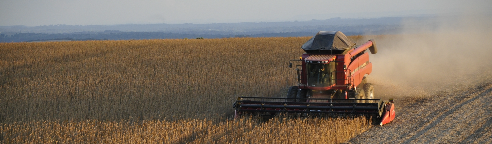 Eleição de 2023 é chave para superar modelo primário agroexportador do Paraguai; entenda