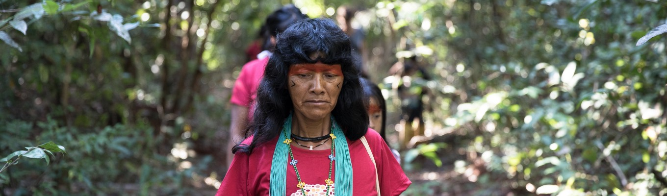 No meio do Xingu, há 10 anos mulheres Yarang coletam sementes para replantar a floresta