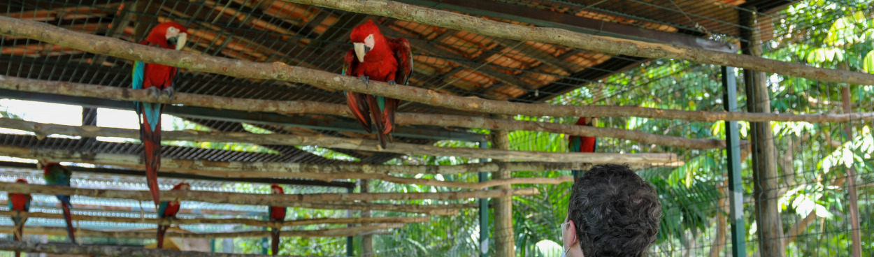 Cerca de 10 mil espécies da Amazônia estão em risco de extinção, aponta estudo integrado por 150 especialistas do mundo todo