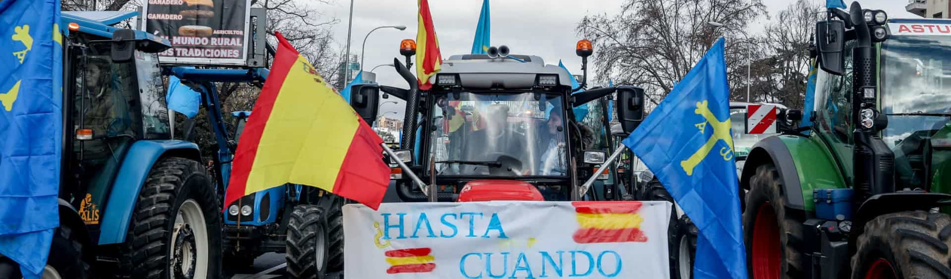 Agricultores e pecuaristas espanhóis protestam contra regulamentações do setor