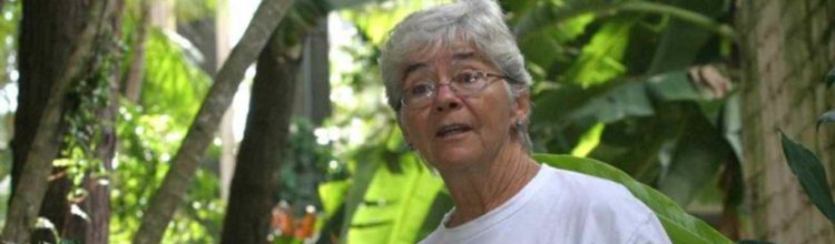 17 anos do assassinato de Dorothy Stang: os conflitos no campo seguem matando no Pará