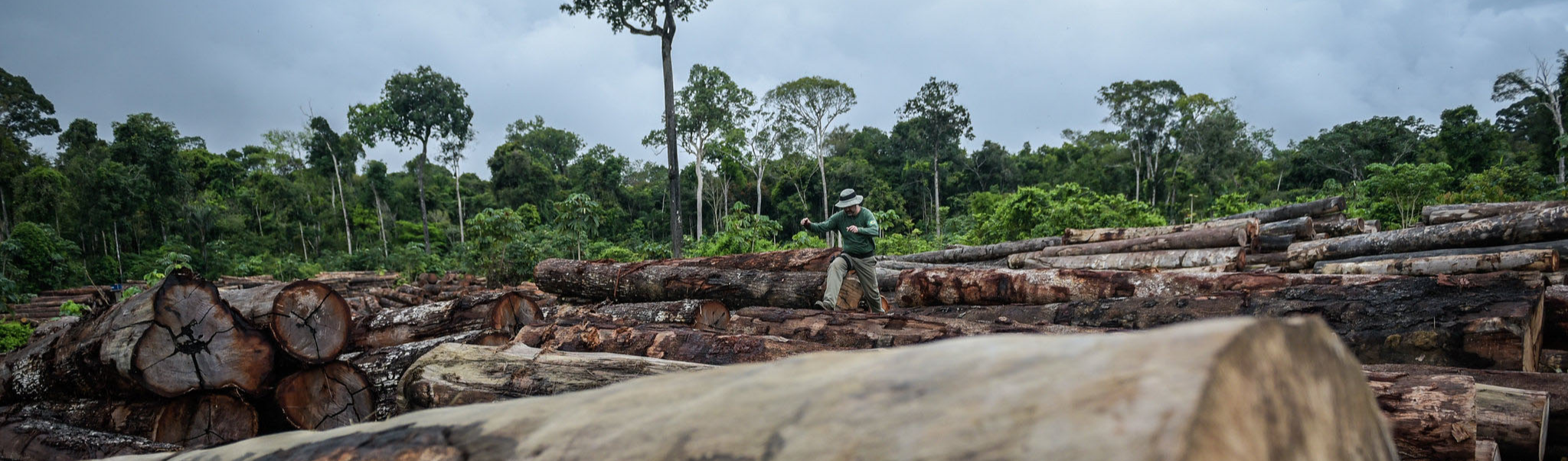 Mais de 600 cientistas de notoriedade internacional criticam política ambiental de Bolsonaro