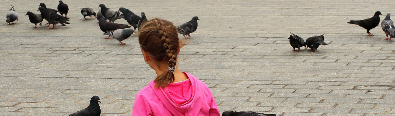 Ratazanas com asas: As pombas são uma ameaça real ao patrimônio histórico e cultural
