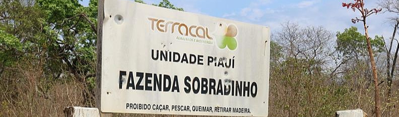 Grilagem financiada por Harvard no Brasil se torna desastre para comunidades locais