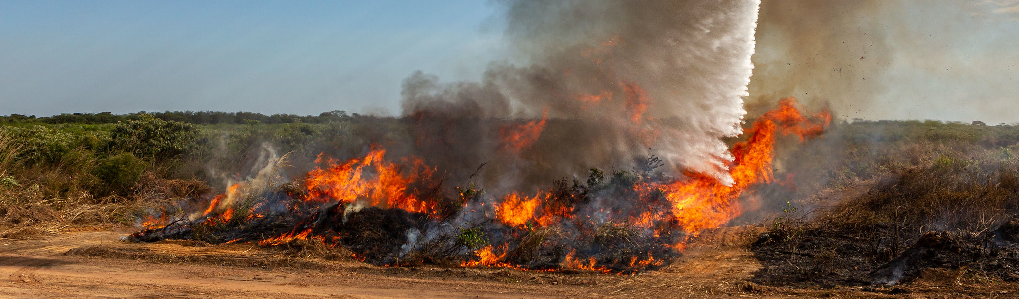"Ainda que fogo na Amazônia seja apagado, dano já é irrecuperável", diz ambientalista