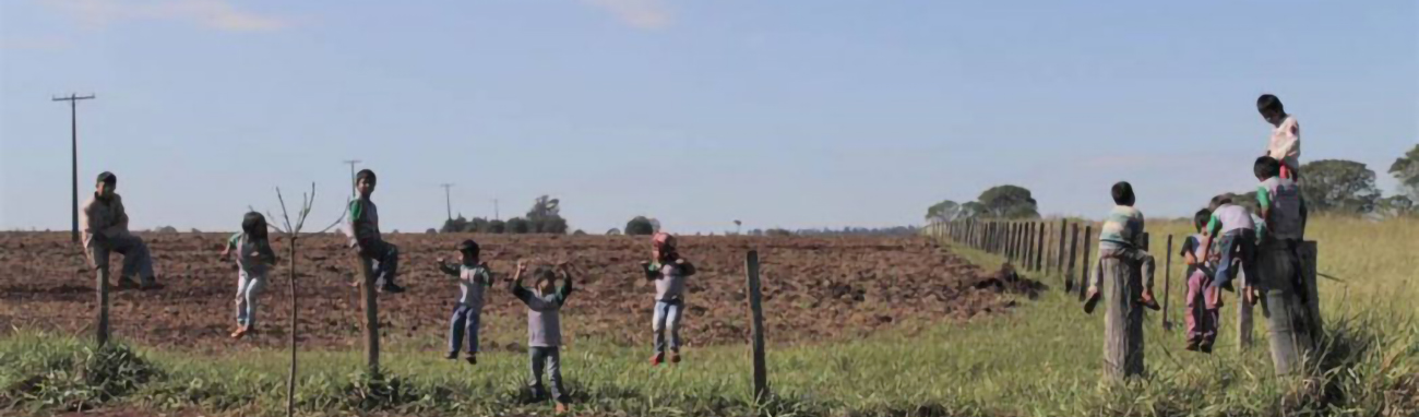 MS: Fazendeiro avança sobre indígenas e deixa plantação com agrotóxicos a 50m de escola