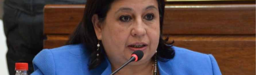 Senadora Martínez: “Fúria dos paraguaios vem para varrer o governo e garantir a vacina”