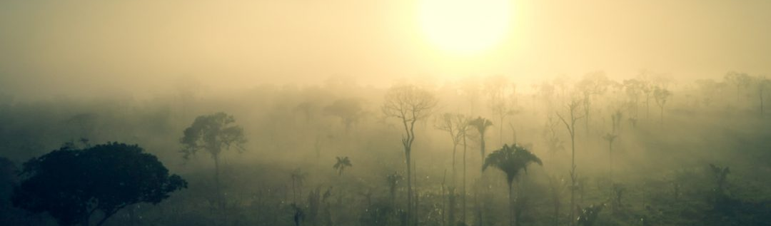 "Terra de ninguém" na Amazônia é dominada pela madeira ilegal, pelo fogo e pela grilagem