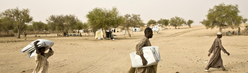 Fronteira Níger-Nigéria: terrorismo e violência provocaram deslocamento de 40 mil em 2019