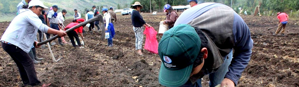 8 pontos para entender a nova reforma agrária proposta pelo presidente Pedro Castillo no Peru
