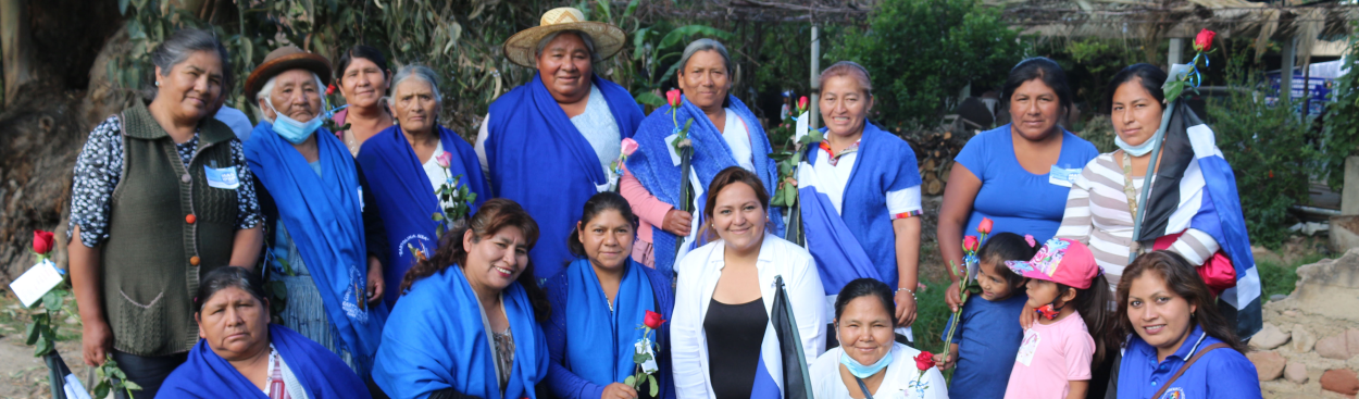 Lei de Participação Política garante recorde histórico de mulheres no Senado boliviano