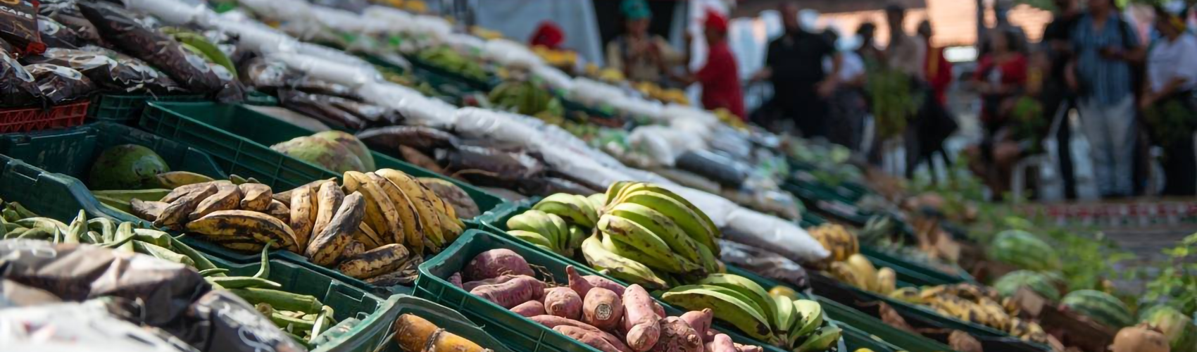 Feira da Reforma Agrária mostra que comida boa e saudável vem com luta pela terra, diz MST