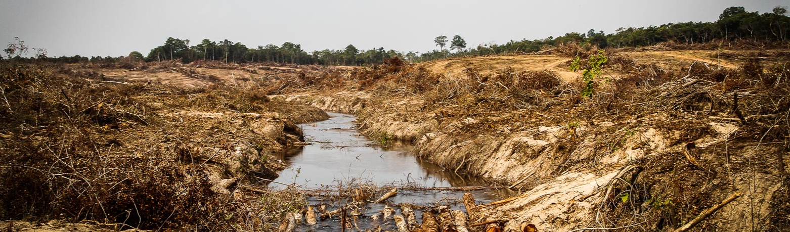 Barragens hidroelétricas também causam grandes crimes ambientais no Brasil