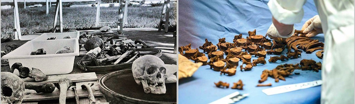 30 anos da Vala de Perus: mortos em cemitério clandestino também são vítimas da ditadura