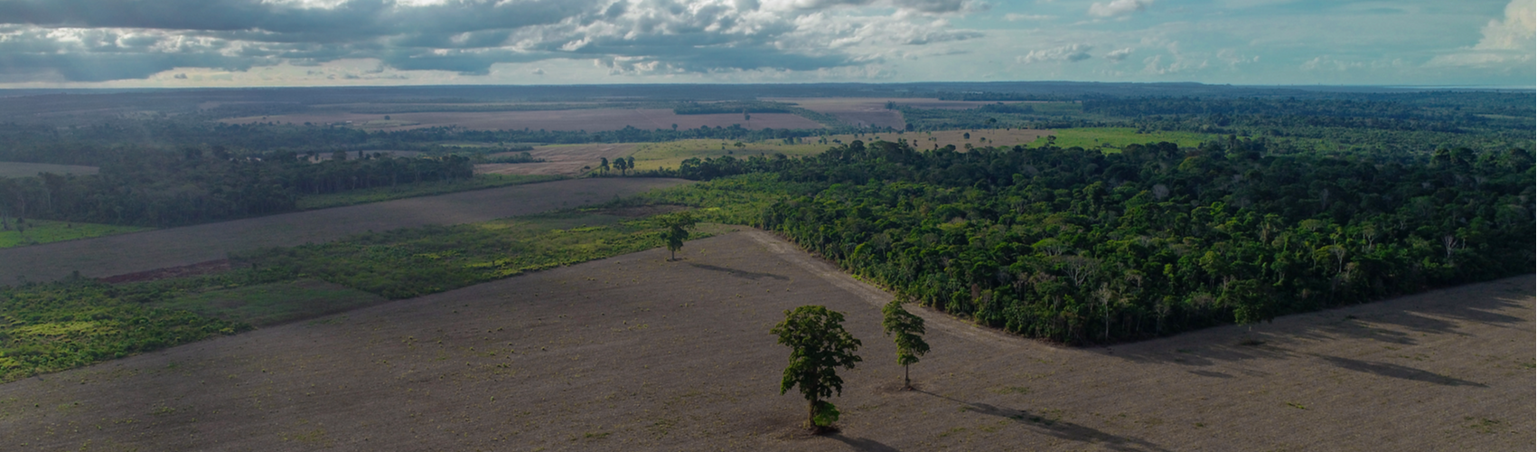 Cargill compra soja de fazendas sobrepostas a terras indígenas no Pará