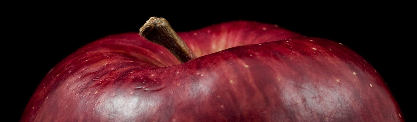 US$ 140 por 2.800 kg de maçã: a exploração da força de trabalho de indocumentados nos EUA
