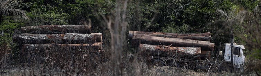 Governo brasileiro aproveita pandemia para apoiar devastação e invasão de terras indígenas