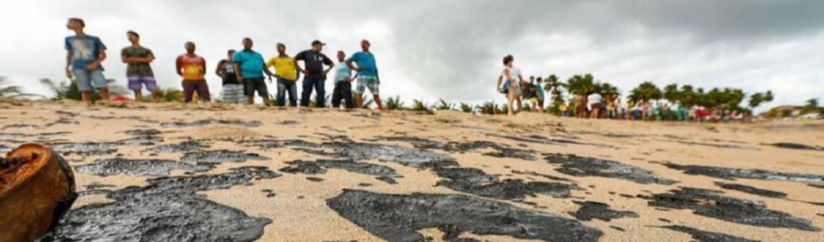 Especialistas listam 6 pontos para reduzir impactos causados pelo óleo no nordeste