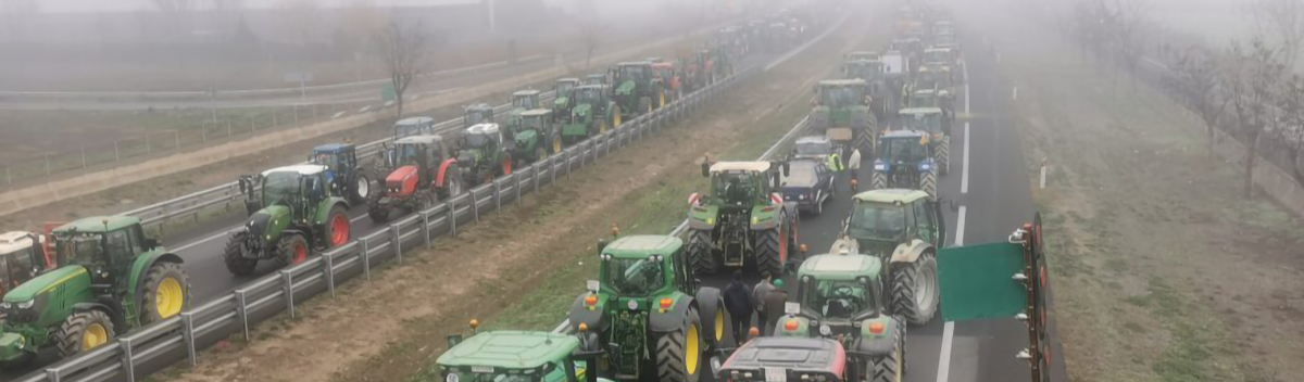 Protestos de agricultores: "Sistema é bom para alguns e deixa outros para trás", reconhece UE