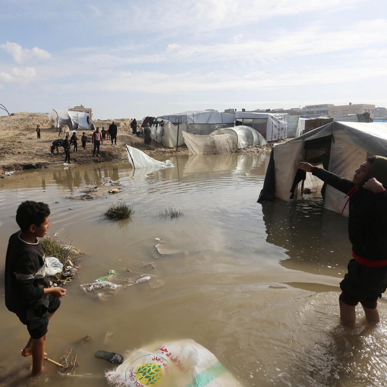 Israel destrói terras agrícolas em Gaza e no Líbano para tornar áreas inabitáveis