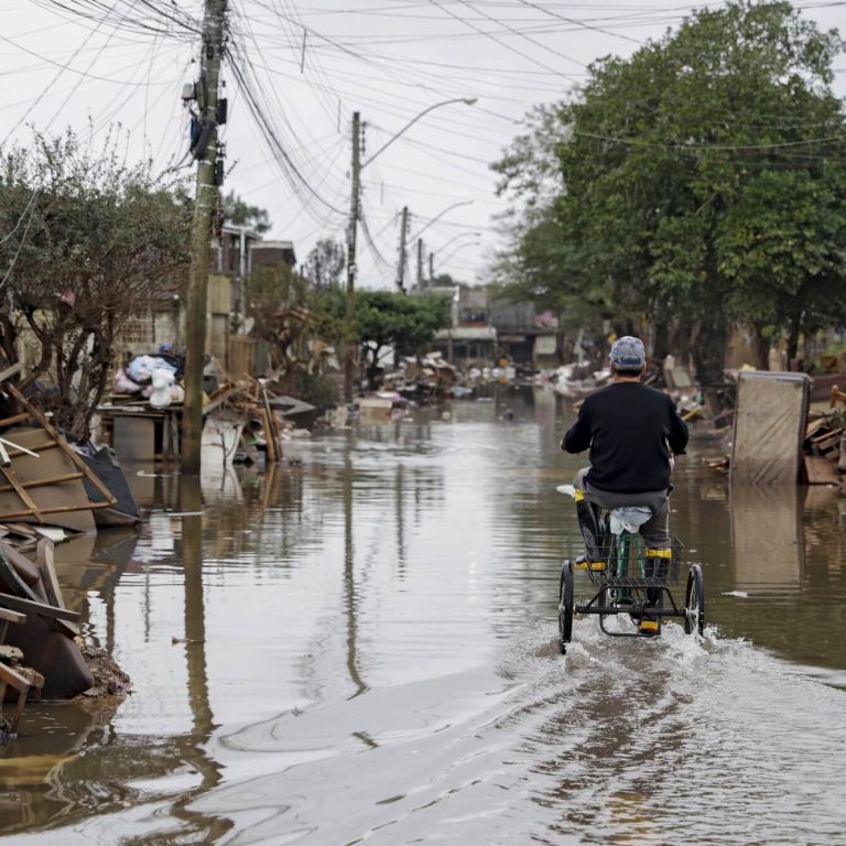 Integrar natureza e sociedade caminho para superar a crise socioambiental