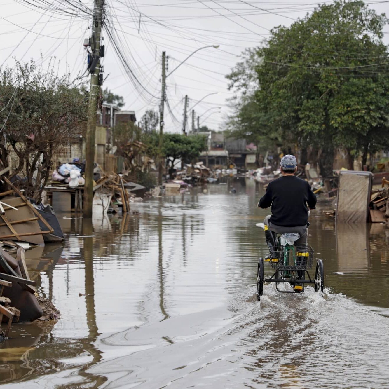 Integrar natureza e sociedade: caminho para superar a crise socioambiental